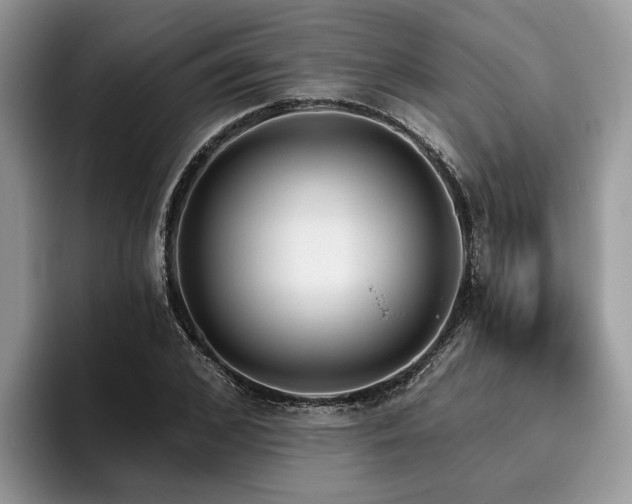 X0000096210976200801181427