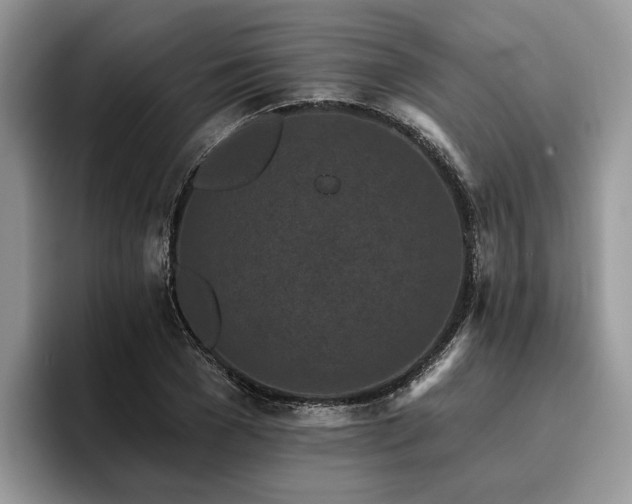 X0000096210977200801181427