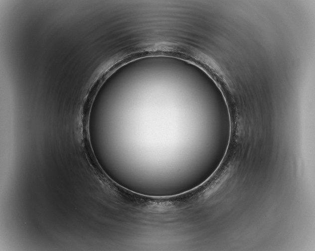 X0000096210978200801181427