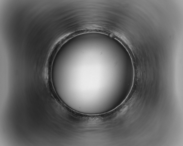 X0000096210979200801181427