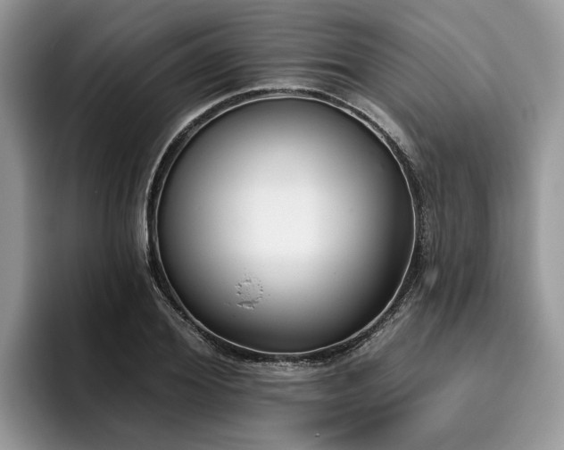 X0000096210980200801181427