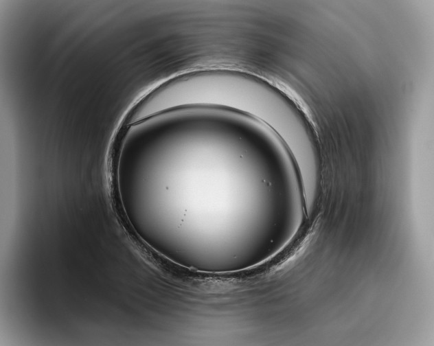 X0000096210981200801181427