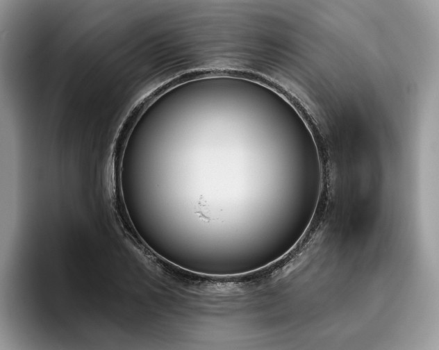 X0000096210982200801181427