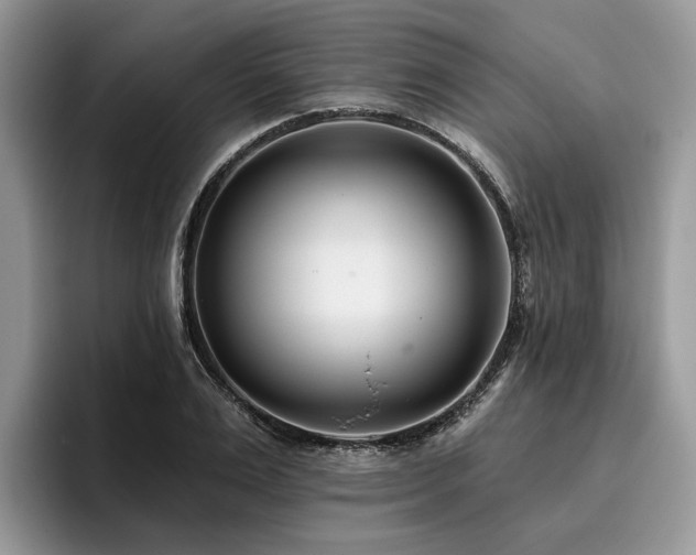 X0000096210983200801181427