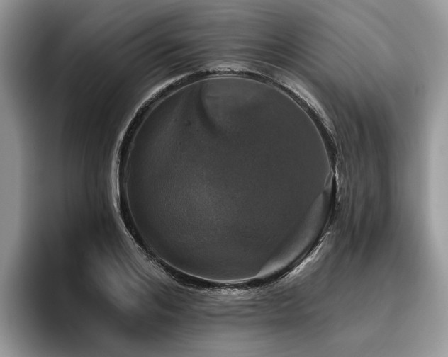 X0000096210984200801181427