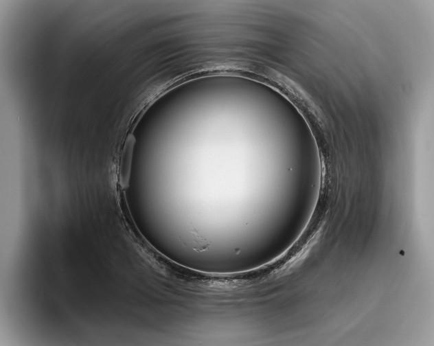 X0000096210985200801181427