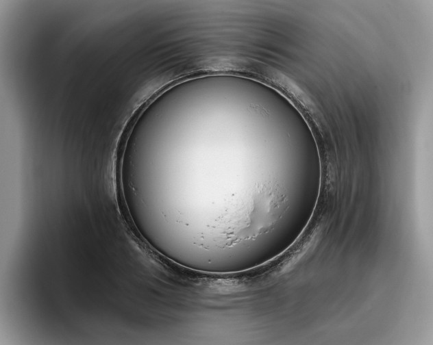 X0000096210986200801181427