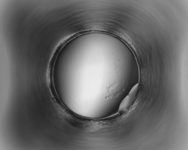 X0000096210987200801181427