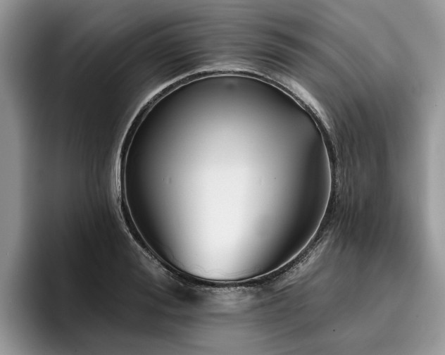 X0000096210988200801181427