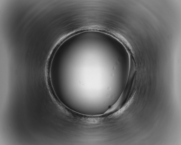 X0000096210989200801181427