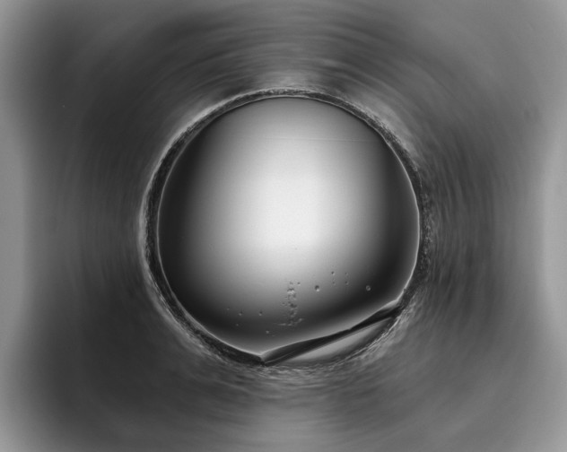X0000096210991200801181427