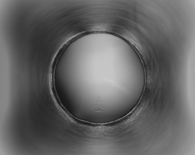 X0000096210992200801181427