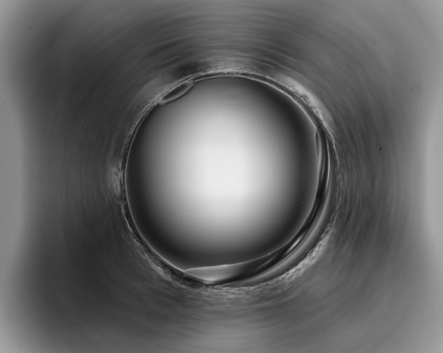 X0000096210993200801181427