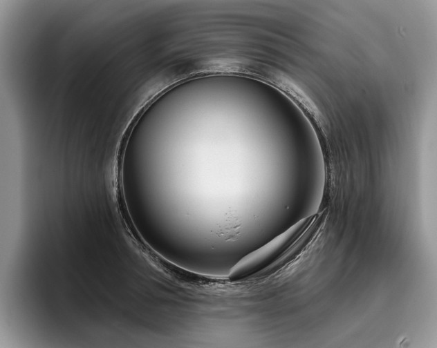 X0000096210994200801181427