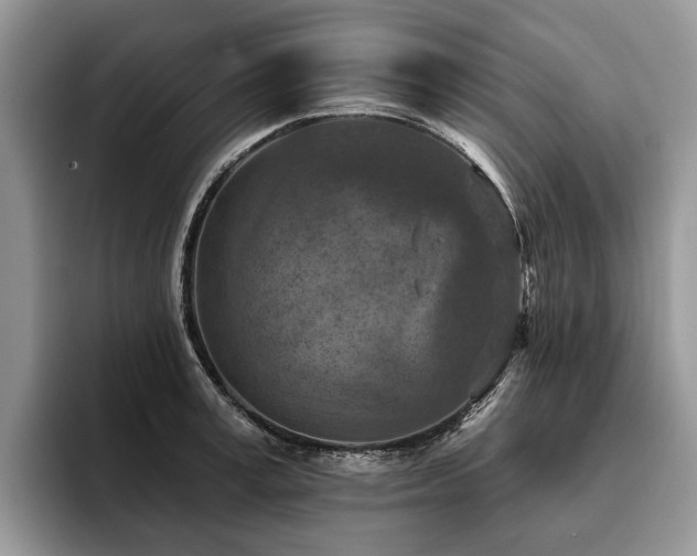 X0000096210995200801181427