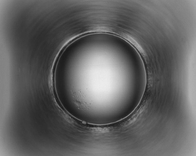 X0000096210996200801181427