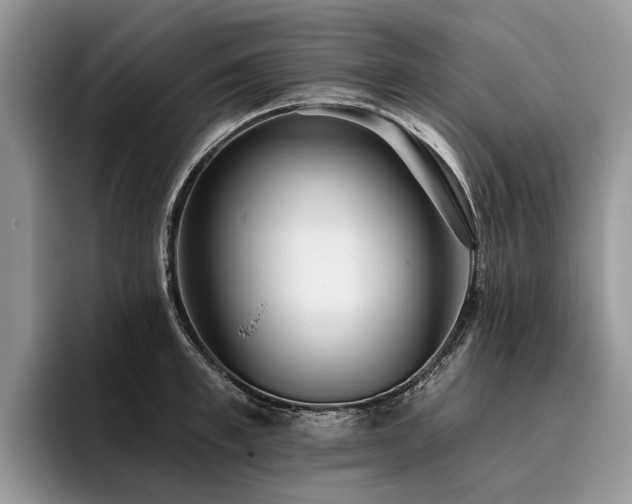 X0000096210997200801181427