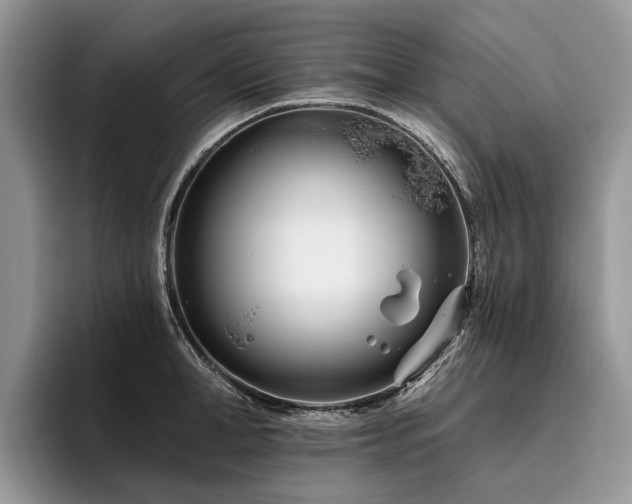 X0000096210998200801181427