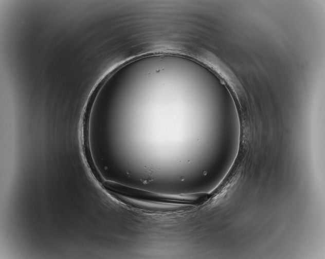 X0000096210999200801181427