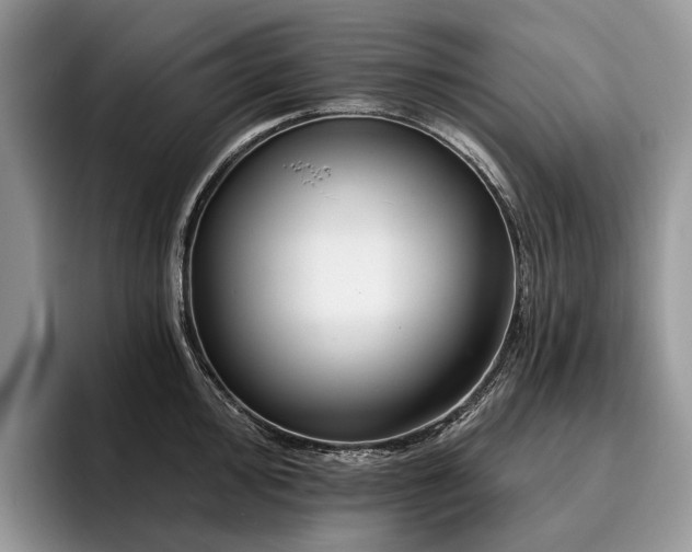 X0000096211000200801181426