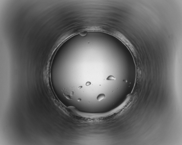 X0000096211002200801181426