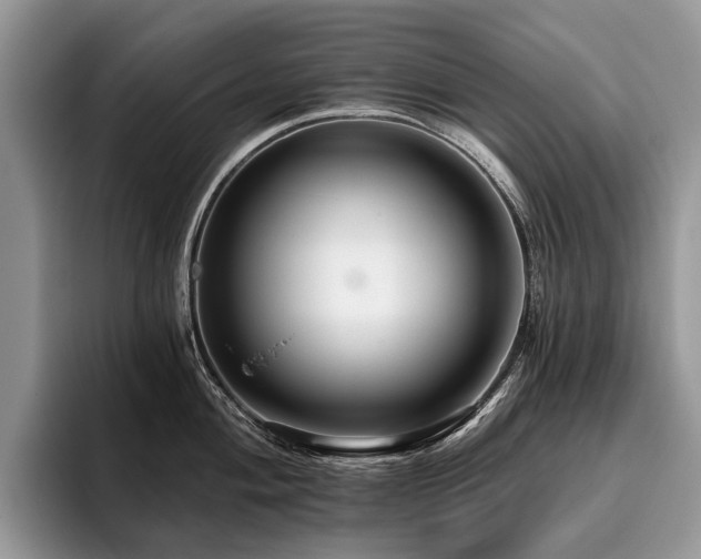 X0000096211004200801181426