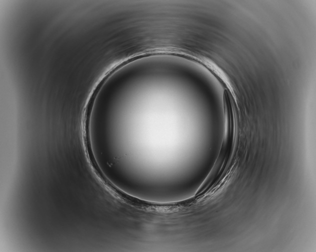 X0000096211005200801181426