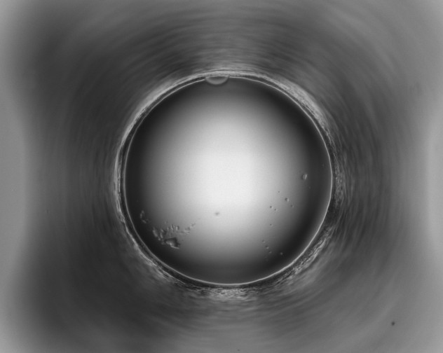 X0000096211006200801181426
