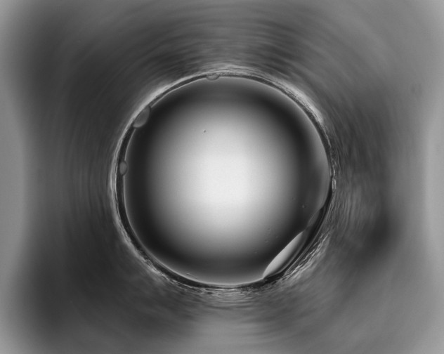 X0000096211007200801181426
