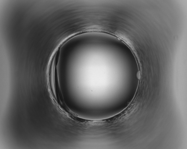 X0000096211008200801181426