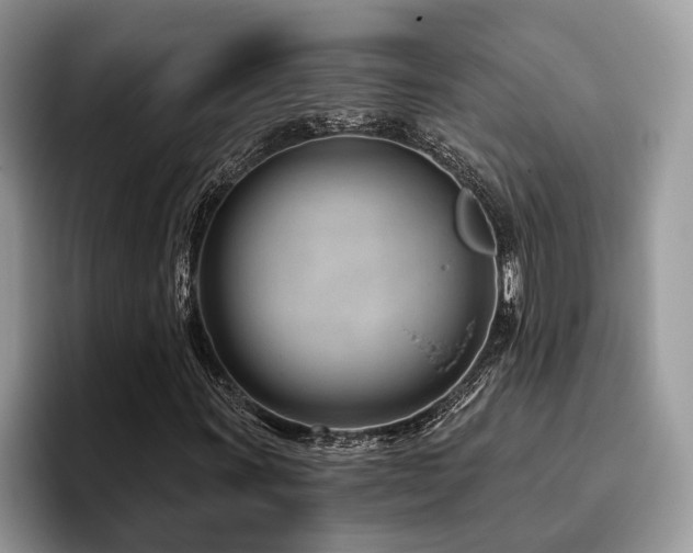 X0000096211011200801181426