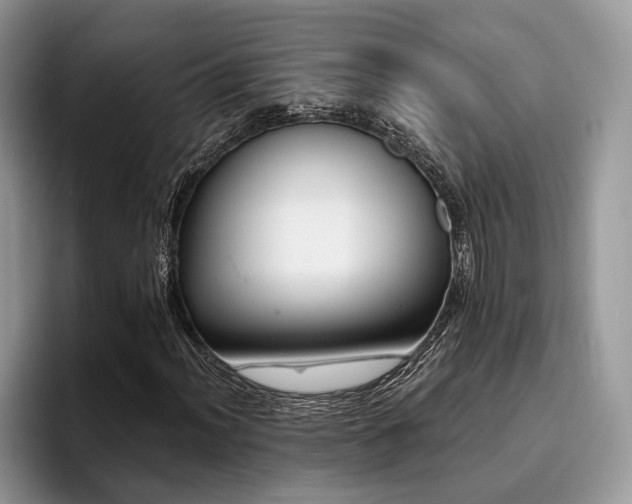 X0000096211012200801181426