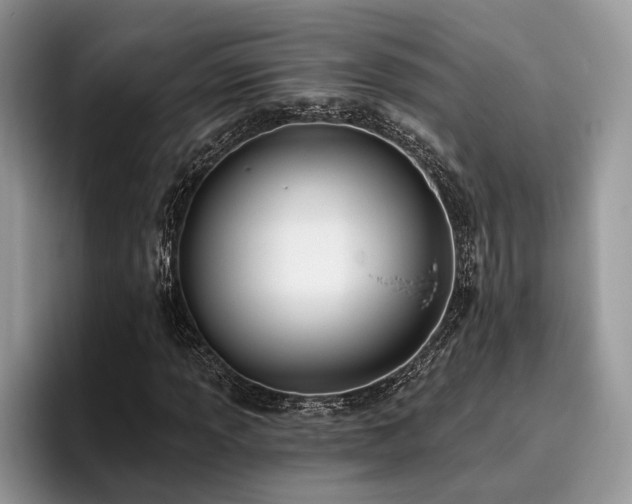X0000096211013200801181426