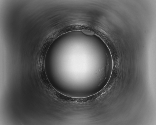 X0000096211014200801181426