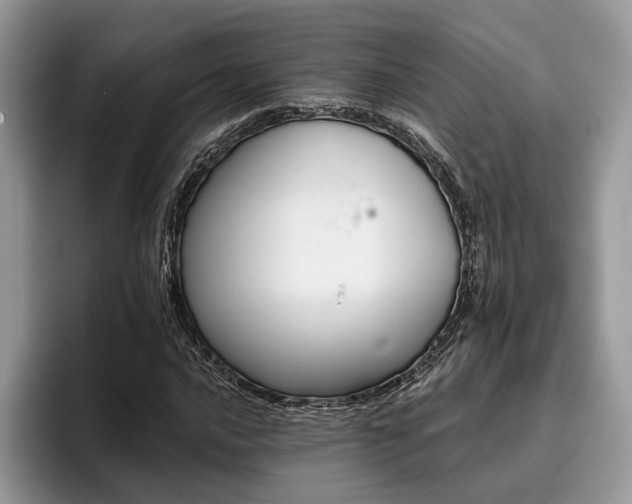 X0000096211016200801181426
