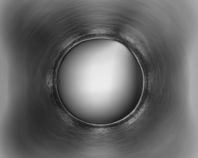 X0000096211017200801181426