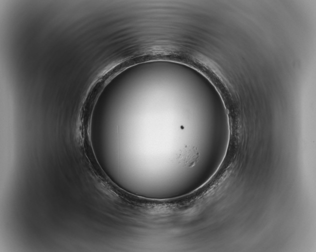 X0000096211018200801181426