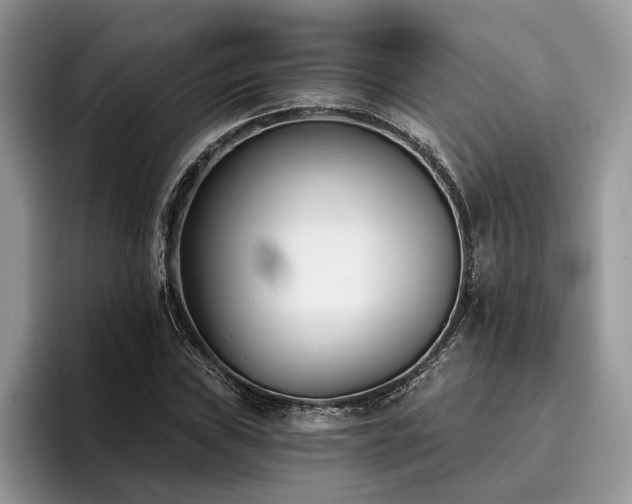 X0000096211019200801181426