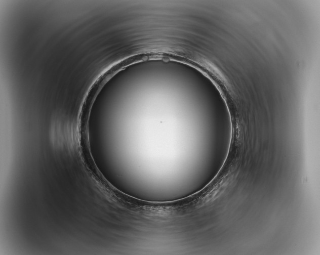X0000096211020200801181426