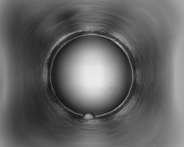 X0000096211021200801181426
