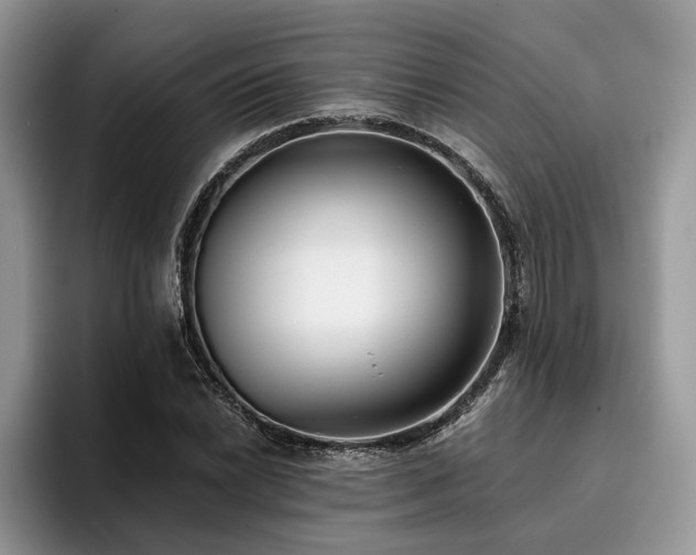 X0000096211022200801181426