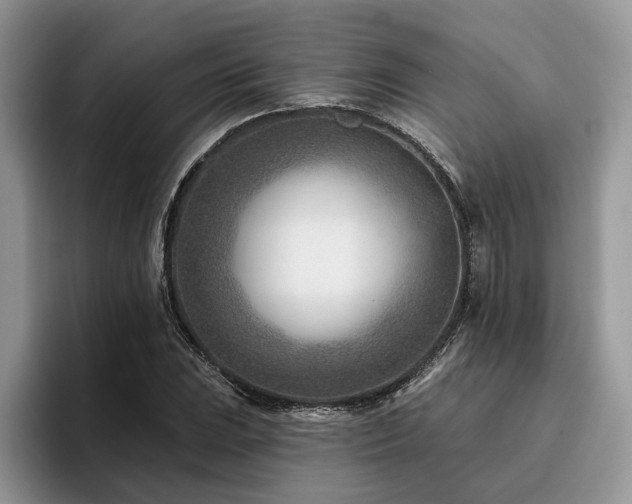 X0000096211023200801181426