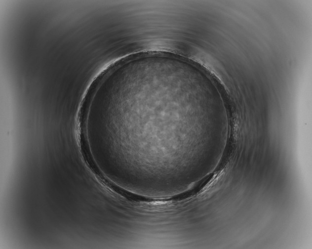 X0000096211024200801181426