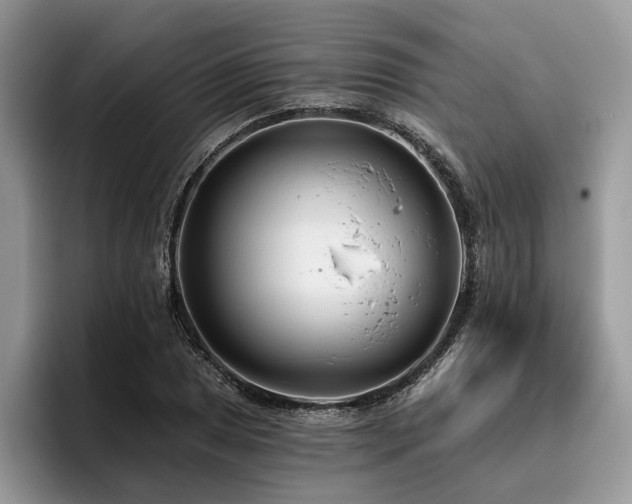 X0000096211025200801181426