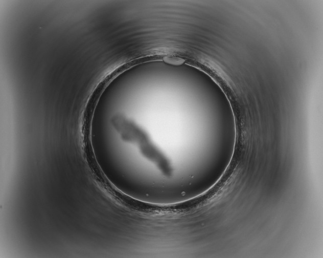 X0000096211026200801181426