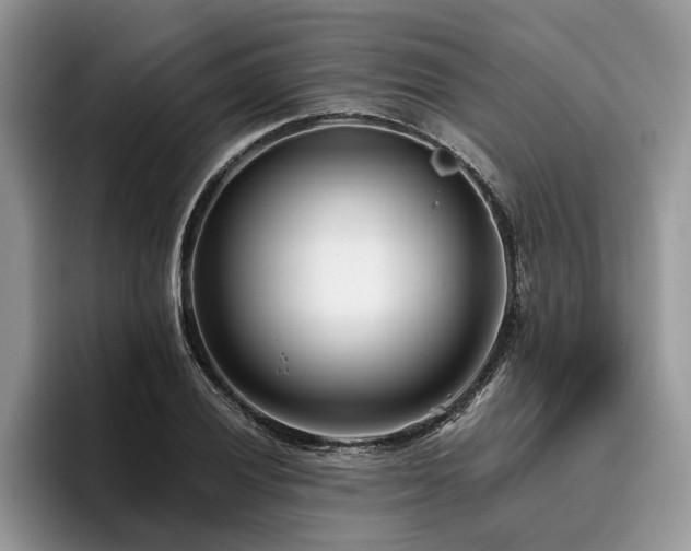 X0000096211028200801181426