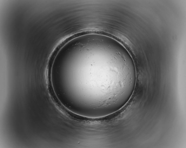X0000096211030200801181426