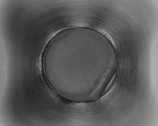 X0000096211031200801181426