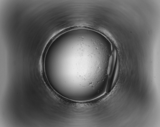 X0000096211032200801181426