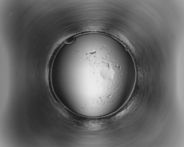 X0000096211035200801181426